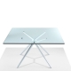 EX - table 140 x 140 cm