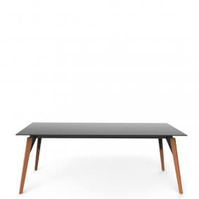 FRAME WOOFD - table polypropylène et bois 200 x 100 cm