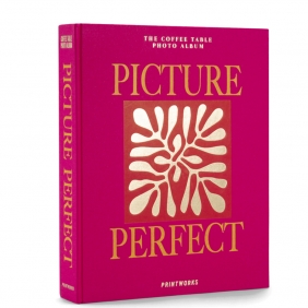 PICTURE PERFECT - album photos 30 pages