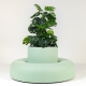 BUZZICEE et BUZZIPLANTER - banquette et pot acoustique