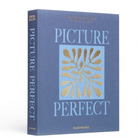 PICTURE PERFECT BLUE - album photos 30 pages