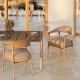 AFRICA - fauteuil de table de jardin (lot de 2)