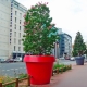 GIO MONSTER - cache pot 210 cm de diamètre
