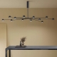 ATRAX - suspension géante à variateur