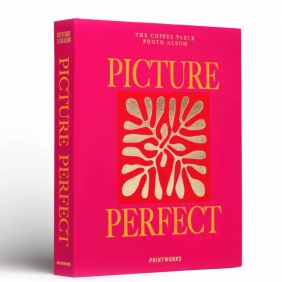 PICTURE PERFECT - album photos 30 pages