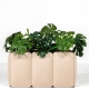 BUZZICHICLE PLANTER - jardinière acoustique xl