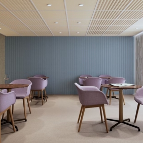 BUZZIPLATE PLAIN - panneau acoustique mural 2m80 (lot de 4)