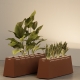 CUBITUS RECTANGLE - jardinière lumineuse xl