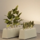 CUBITUS RECTANGLE - jardinière lumineuse xl