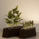 CUBITUS RECTANGLE - jardinière lumineuse xl
