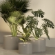TANK - pot à plantes xxl led