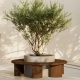 TANK - pot à plantes xxl led