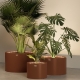 TANK - pot à plantes xxl led