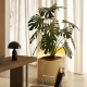 WEDGE - pot à plantes xl led