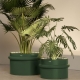 WEDGE - pot à plantes xl led