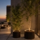 TANK - jardinière en corten avec éclairage led