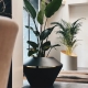 OYSTER - pot à plantes lumineux xl