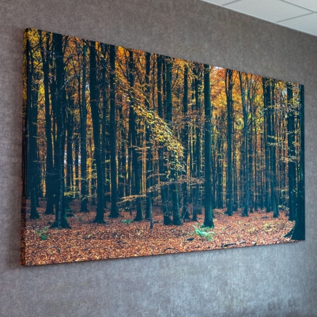 Panneau acoustique print ECOSUND à bords droits