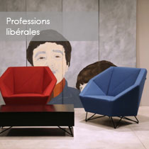 professions liberales